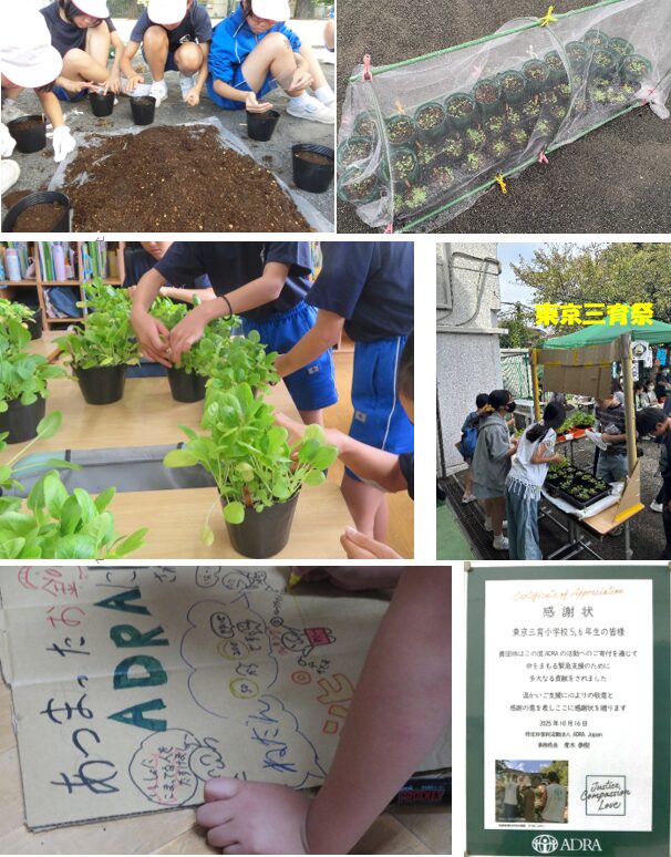 ADRA Japanからの感謝状