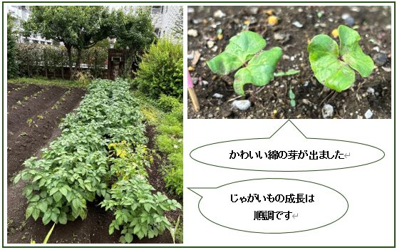 「いのち」の取り組み