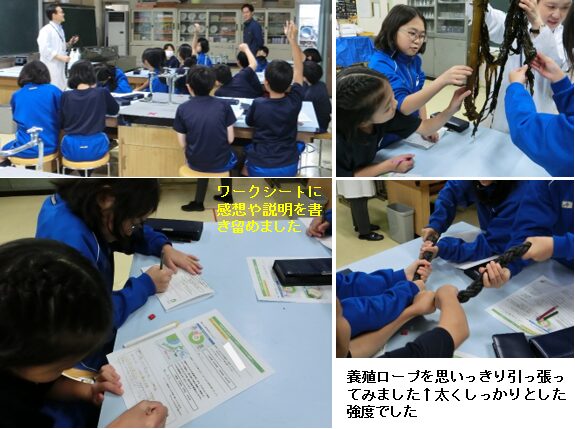 わかめの特別授業