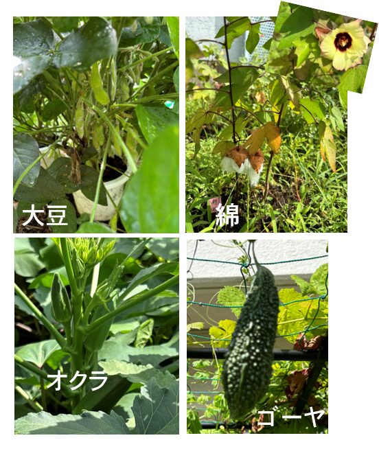 夏休みの学校 ②