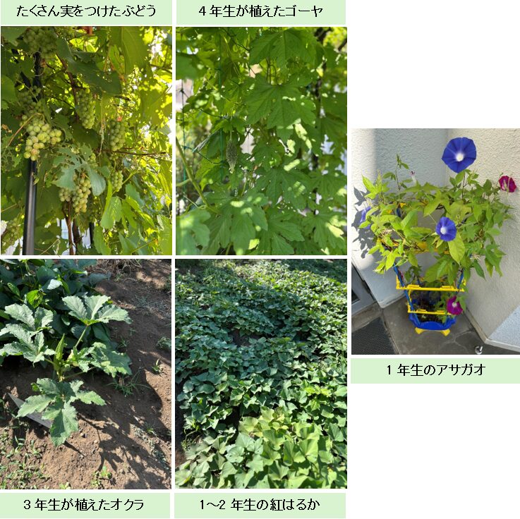 夏休みの学校2025